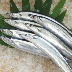 日本秋刀魚 1